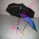 umbrella (Oops! image not found)